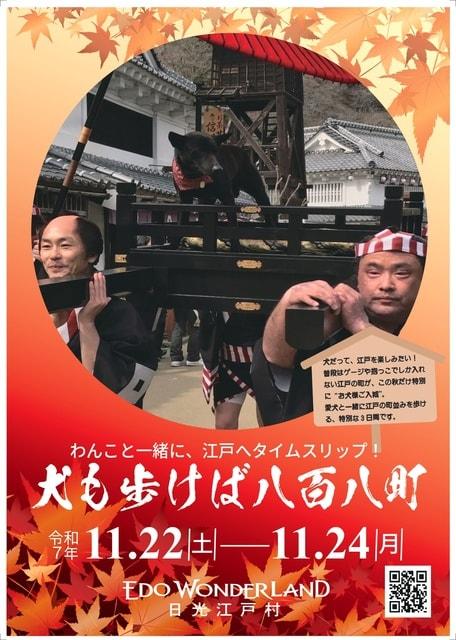 犬も歩けば八百八町