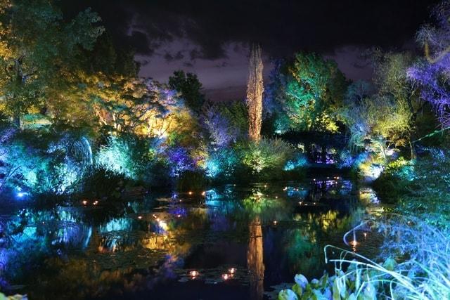 モネのナイトキャンバス Forest Wedding　～森の祝福～