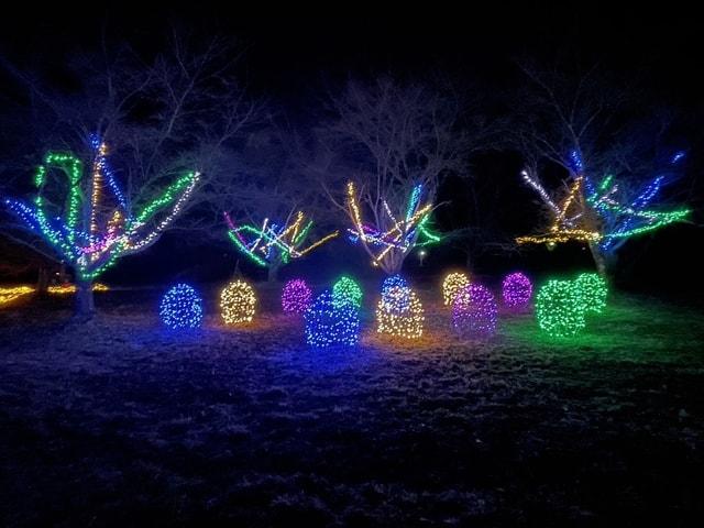 原村　星空のイルミネーション2025