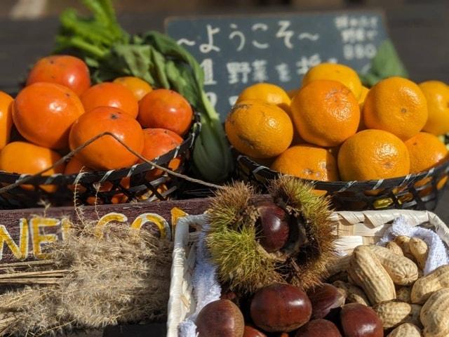 あなたはみかん派　柿派