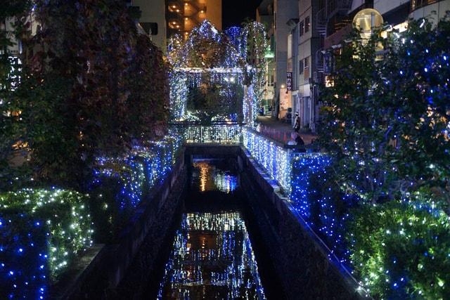 うつのみやイルミネーション　2025