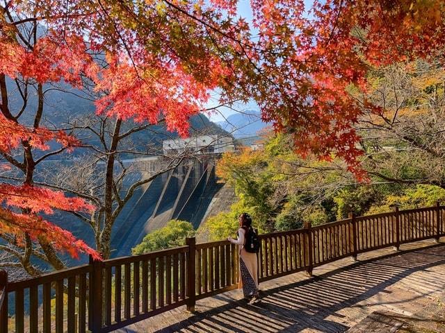 【紅葉・見ごろ】宮川ダム