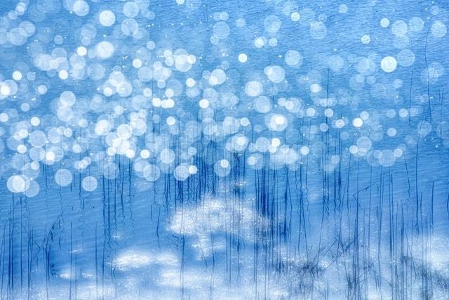 伊勢和紙による　三輪薫写真展「風の香り－日本のこころの自然風景と花」