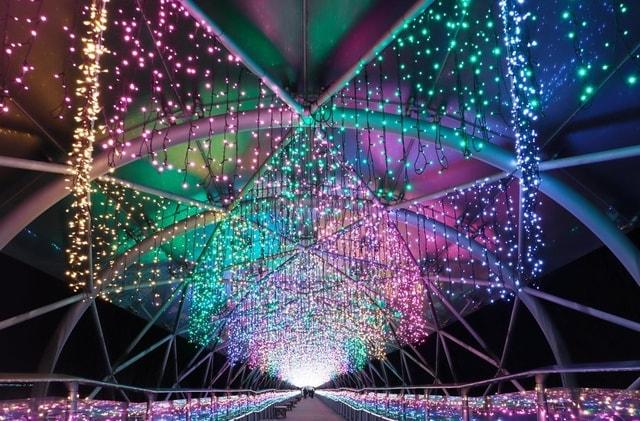 フラワーイルミネーション2025