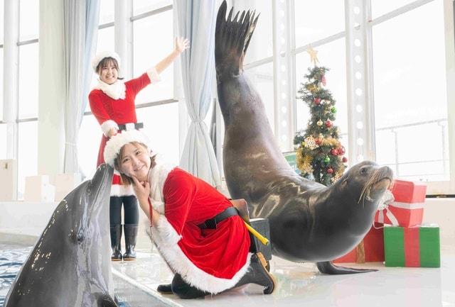 クリスマス アクアワールド 2025