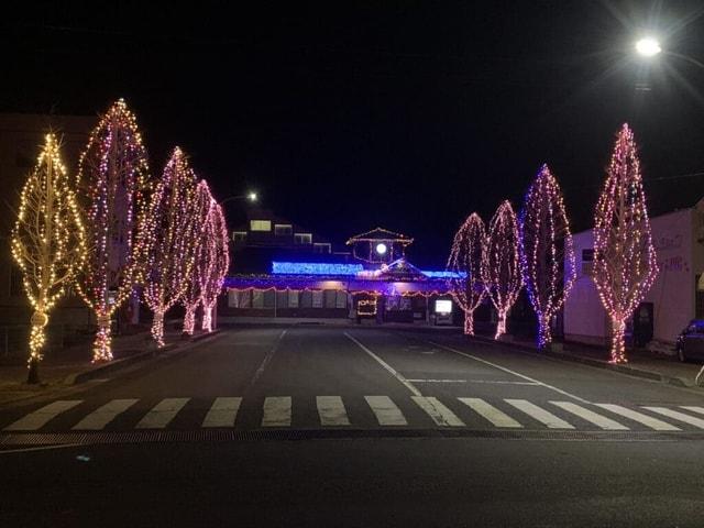 豊里　冬の蛍通り