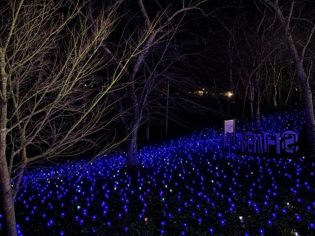 しばたファンタジーイルミネーション2025