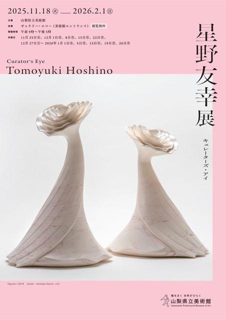 キュレーターズ・アイ「星野友幸展」