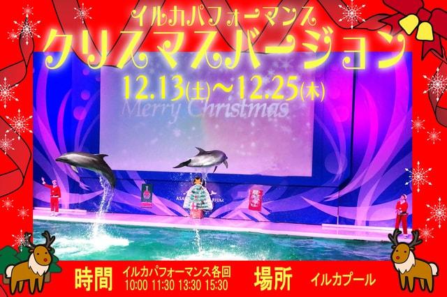 イルカパフォーマンスクリスマスバージョン