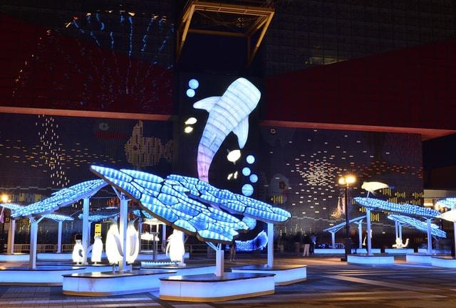 海遊館イルミネーション2025