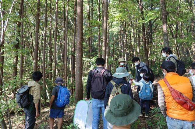 初冬の森で発見！ フィールドサインからのぞき見る野生動物のくらし