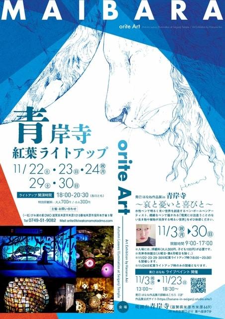 青岸寺紅葉ライトアップ