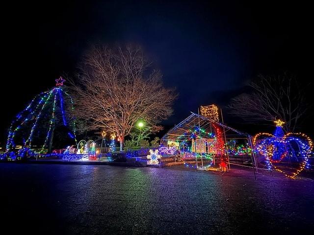 イルミらさか2025