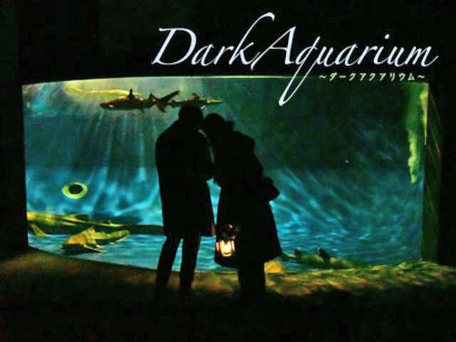 DarkAquarium －ダークアクアリウム－