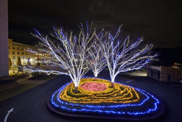 徳島文理大学高松駅キャンパス　イルミネーション2025