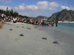 日本一早い！海びらき