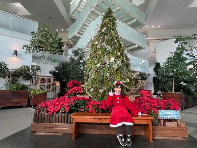 冬のガーデンパーティー