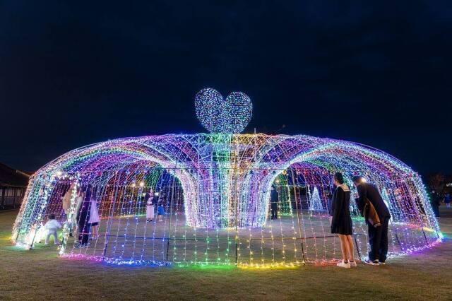 光のファンタジー菊池2025