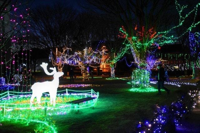 山あげ会館イルミネーション2025