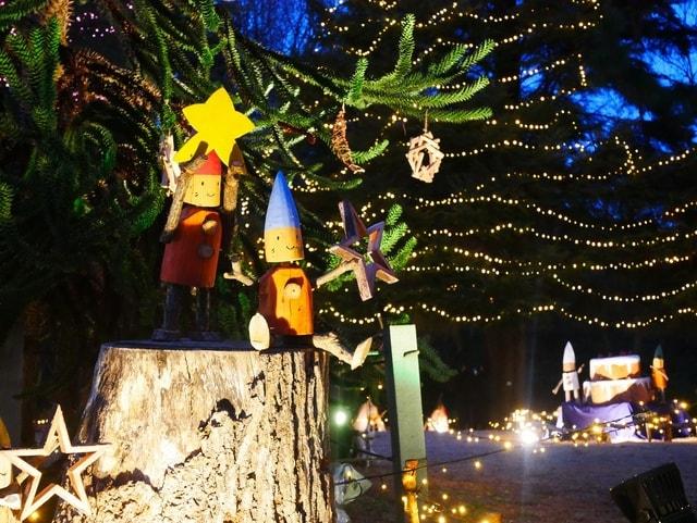 光と森のStory最終章「スターライトイルミネーション」