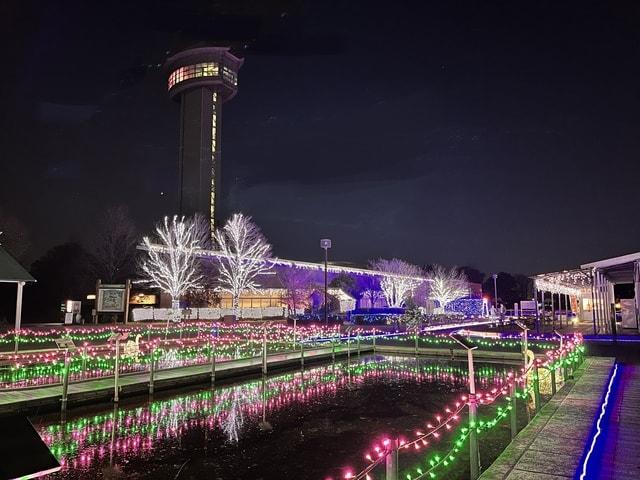 古代蓮の里イルミネーション2025