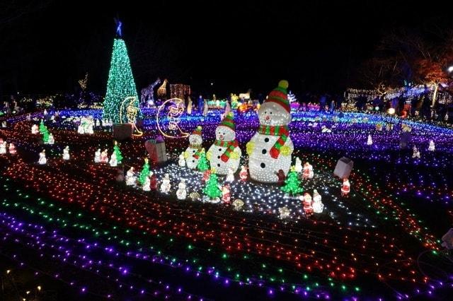 第4回イルミネーション in 曽木の滝