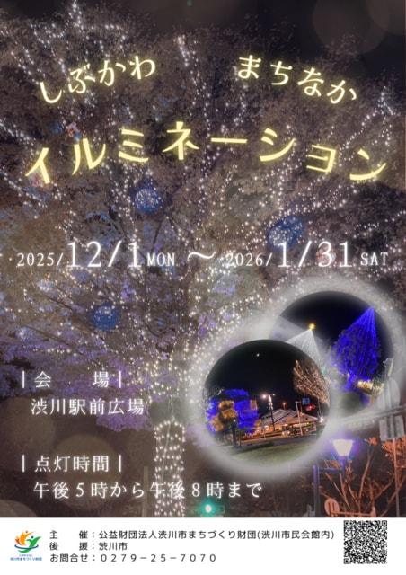 しぶかわまちなかイルミネーション