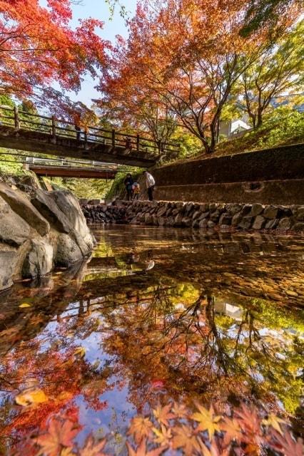 【紅葉・見ごろ】竜門峡