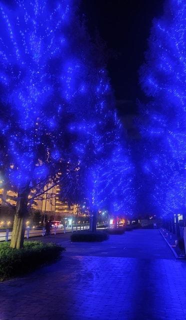 ライティング・コラボレーションかなまち かなまちイルミネーション