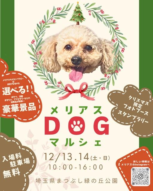 わんことクリスマス　メリアスdogマルシェin埼玉県営まつぶし緑の丘公園