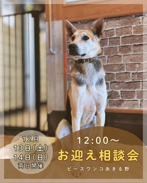 保護犬お迎え相談会