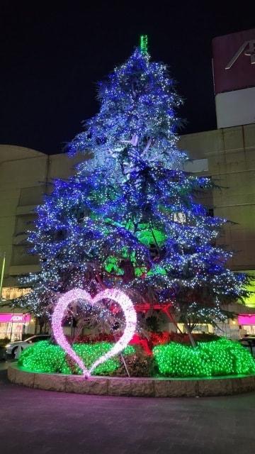 2025さかいで光輝里（ひかり）フェスティバル