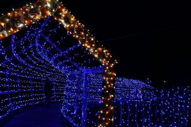 多久聖廟年末年始イルミネーション