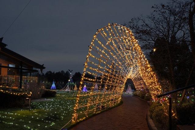 ウインターイルミネーション2025-2026