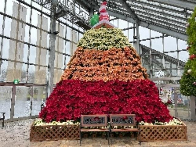 ブルーメッセあきた　ポインセチアタワー