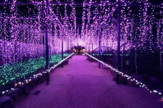 光の日本庭園　ジパング 〜JIPANG〜