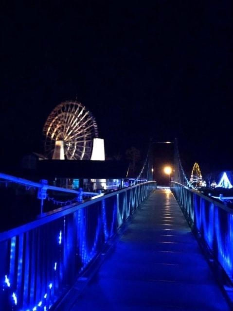 道の駅おばあちゃん市・山岡イルミネーション2025