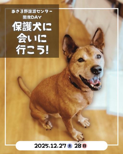 保護犬に会いに行こう！