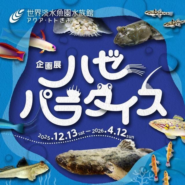 企画展『ハゼパラダイス』