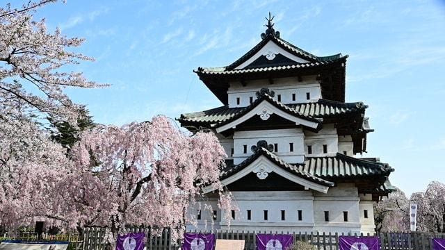 弘前さくらまつり（青森県）の観光イベント情報｜ゆこゆこ