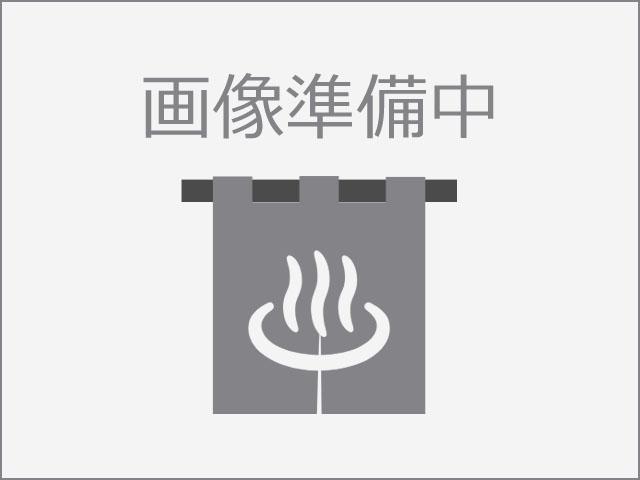 第46回 各務原市桜まつり