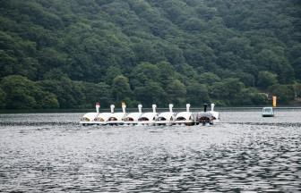 【ご当地ライター】８月開催・榛名湖で開催される親子スワンボートレースが面白い！