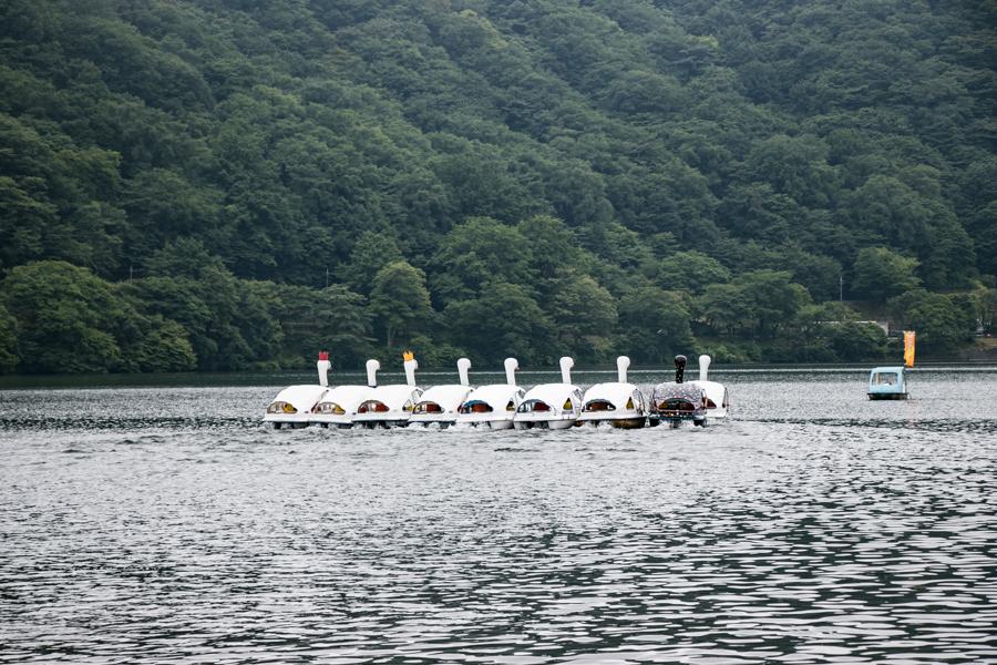 【ご当地ライター】８月開催・榛名湖で開催される親子スワンボートレースが面白い！