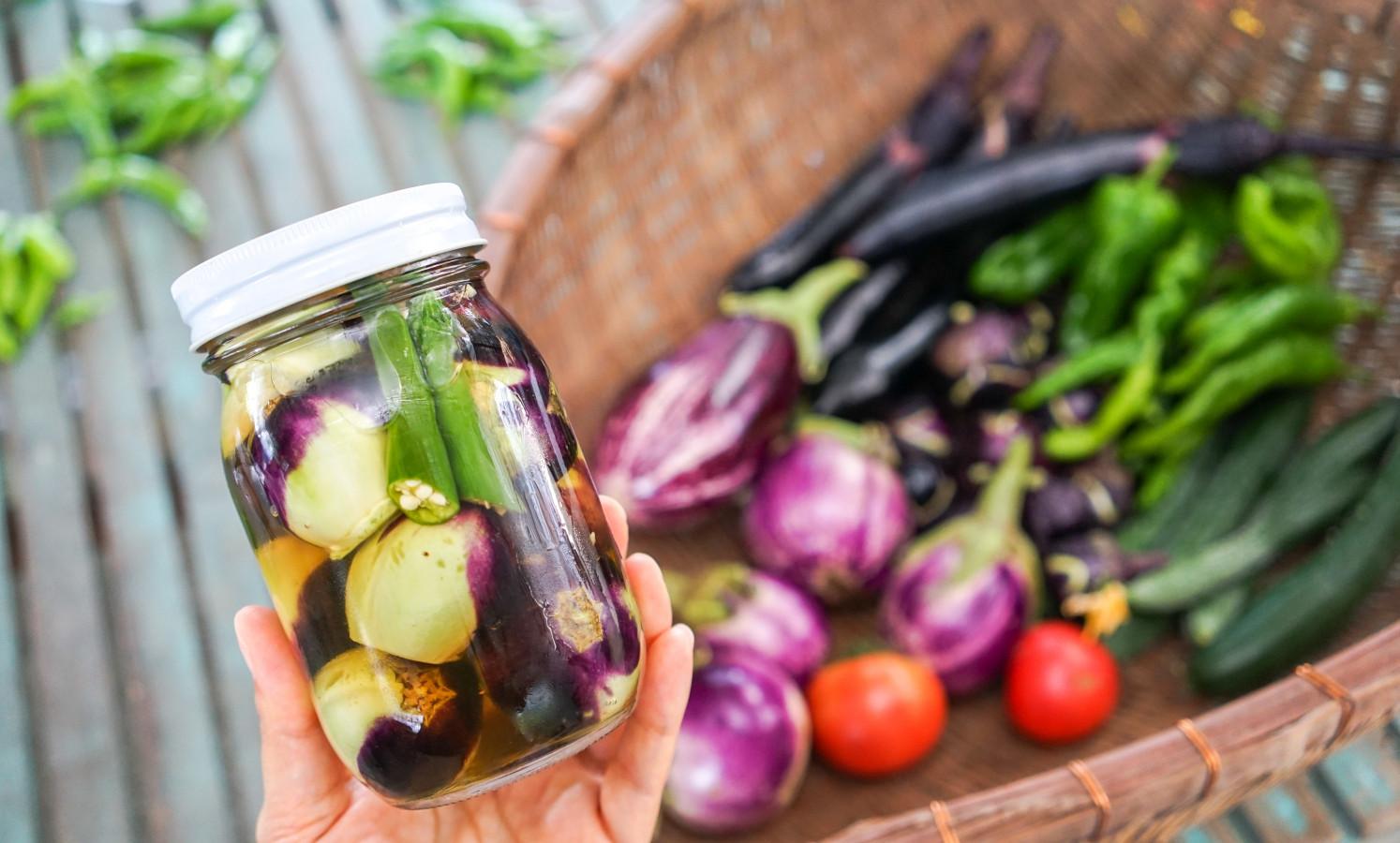 【ご当地ライター】あふれる笑顔と割烹着が似合う“にっぽんのお母ちゃん” 菅野ちゑさんと『畑で収穫＆薄皮丸小茄子漬け体験』