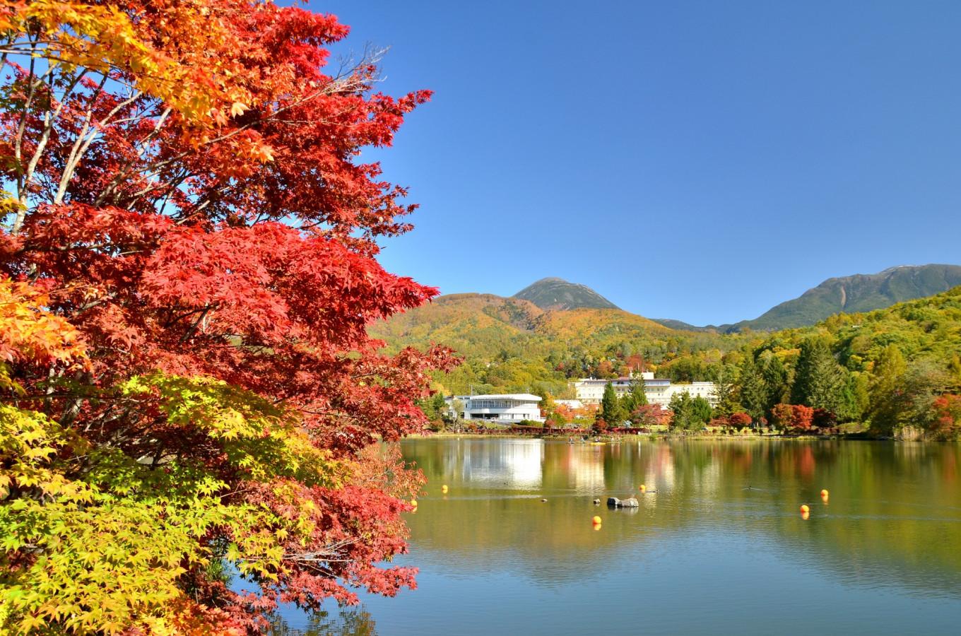 10・11月に行きたい、紅葉を愛でる旅！美しい秋に出会える1泊2日モデルコース3選【東海版 2018年10・11月号】