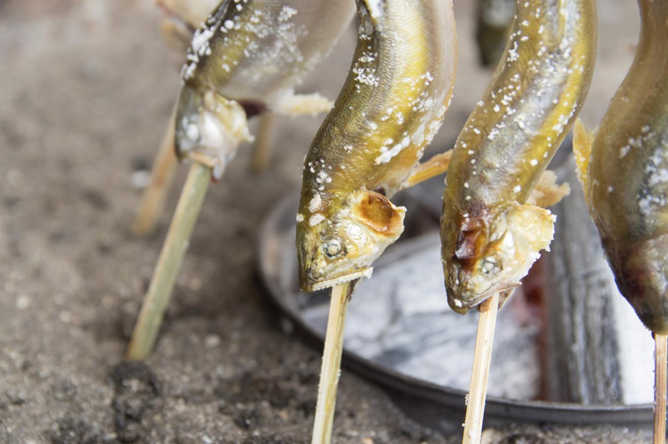 【イベント情報】岐阜・下呂温泉エリアで鮎の手づかみ体験