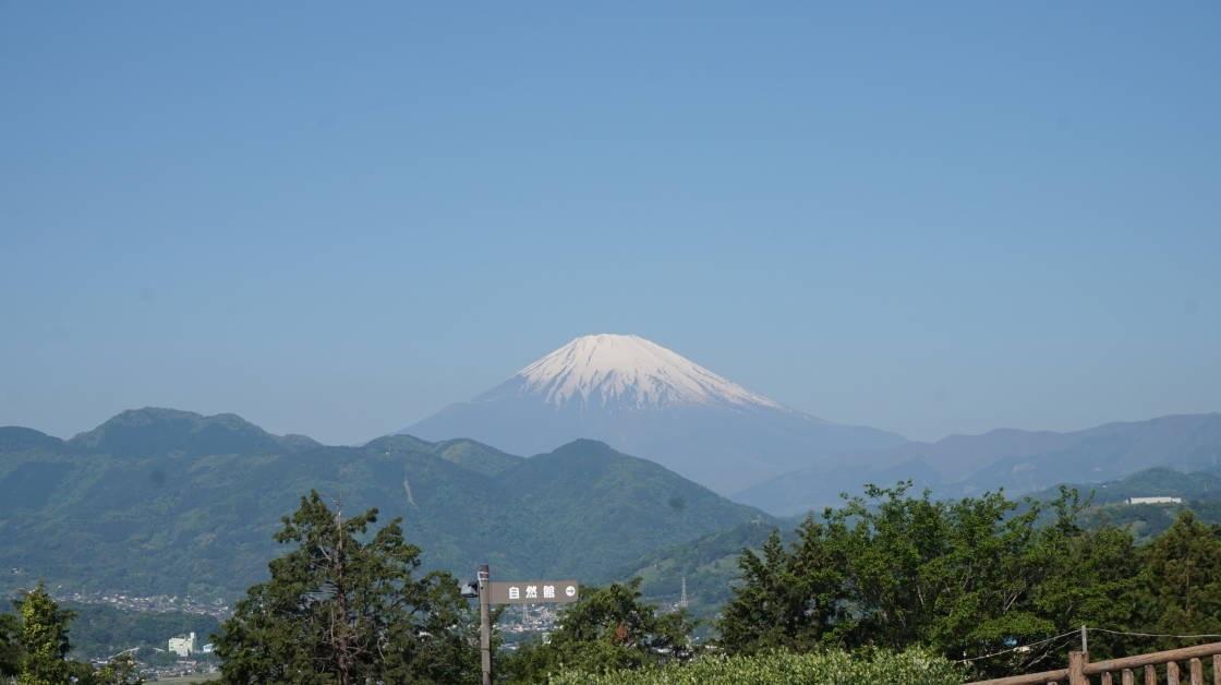 【ご当地ライター】足柄平野を一望！絶景ビアガーデンが期間限定オープン