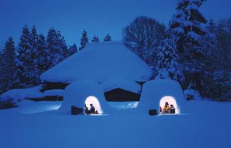 便利な巡回バスあり！450年続く伝統「横手の雪まつり」