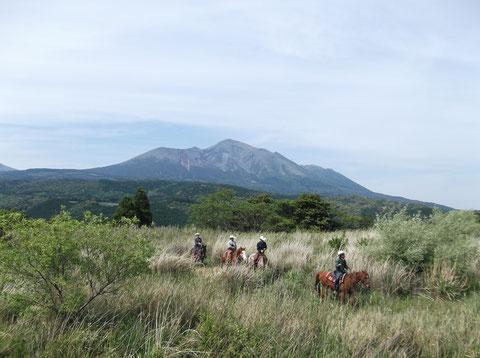 大自然の中で乗馬体験！「霧島乗馬牧場 サウス・ヒル・ステーブル」