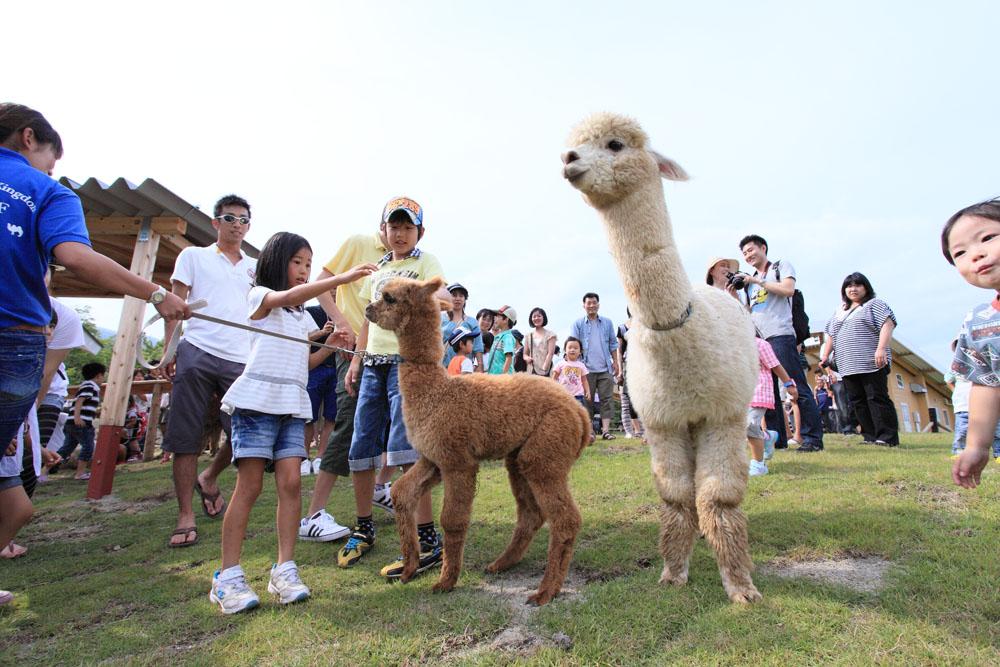 大自然で動物と触れ合える「那須どうぶつ王国」～王国ファーム編～